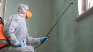 Biohazard Mold Removal in Oronoque, CT