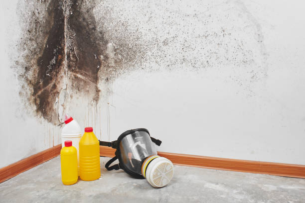 Best Biohazard Mold Removal  in Oronoque, CT