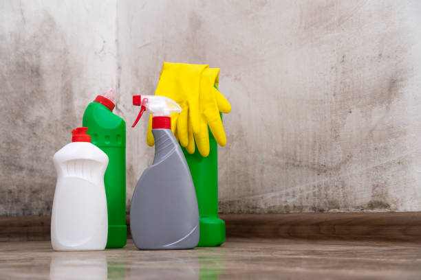 Best Environmental Consulting for Mold Prevention  in Oronoque, CT